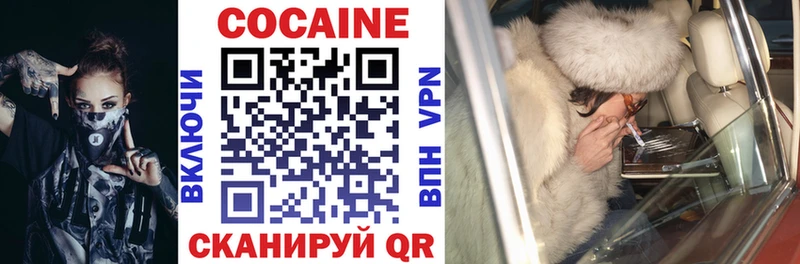 Купить закладки  Жердевка  COCAIN FishScale 