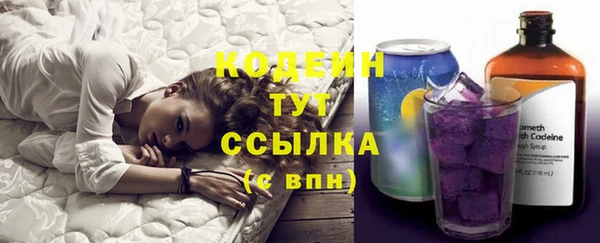 прущие грибы Карпинск