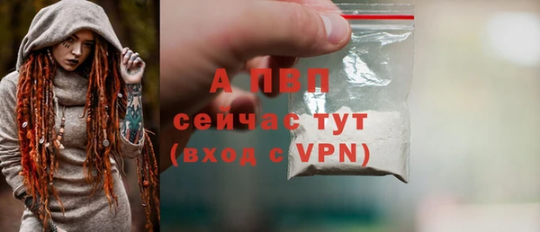 прущие грибы Карпинск