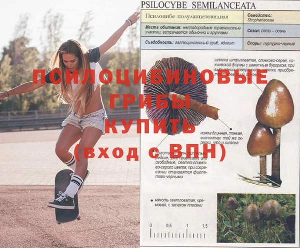 альфа пвп Киреевск