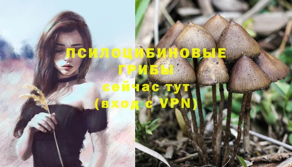 альфа пвп Киреевск