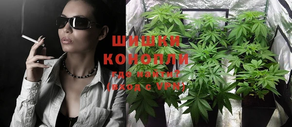 прущие грибы Карпинск