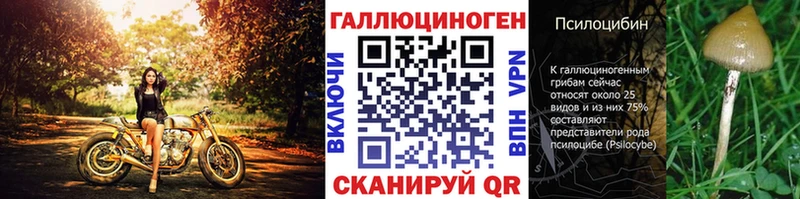 Галлюциногенные грибы Psilocybine cubensis  Купить  Жердевка 